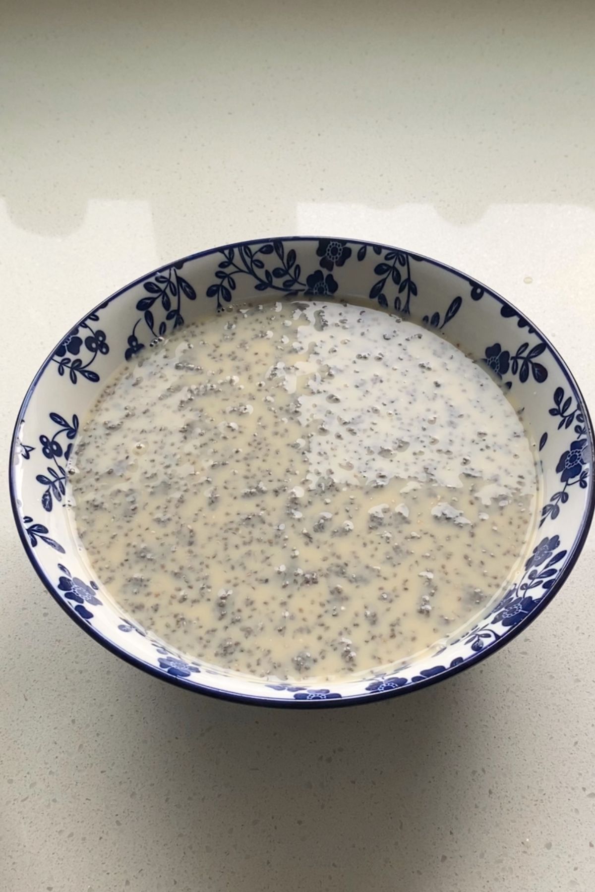 A mixture of oat milk, chia seeds, and other ingredients in a white and blue bowl.
